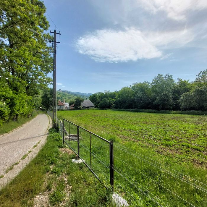 Vand casa + teren suprafata 4313 mp