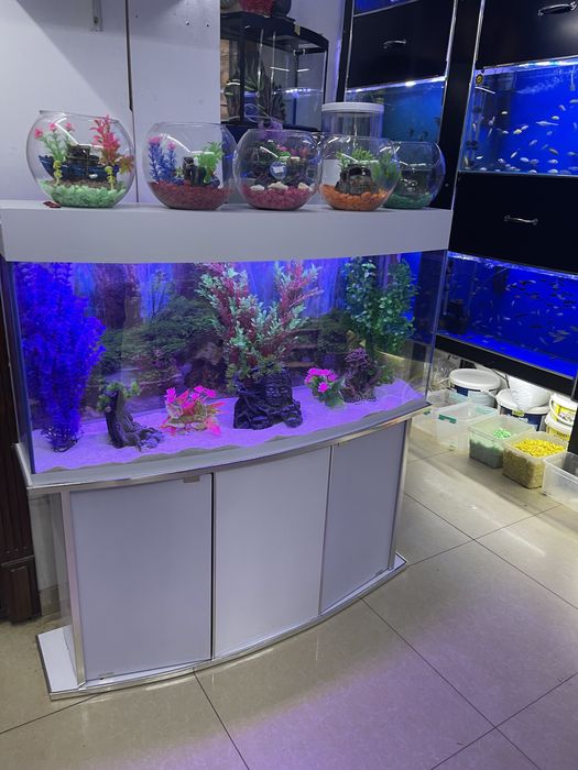 Akvarium 200 litrlik New