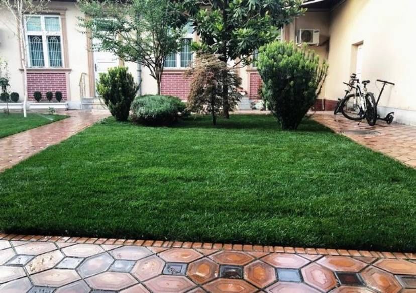 Газон высшего качества