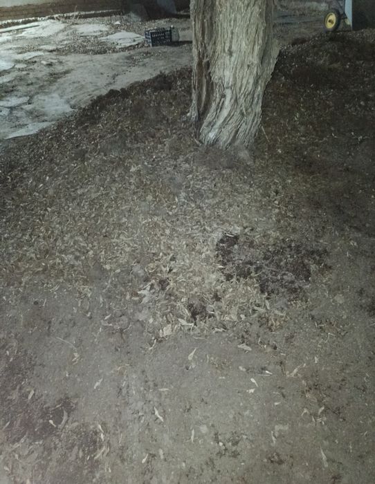 Биогумус и червяк