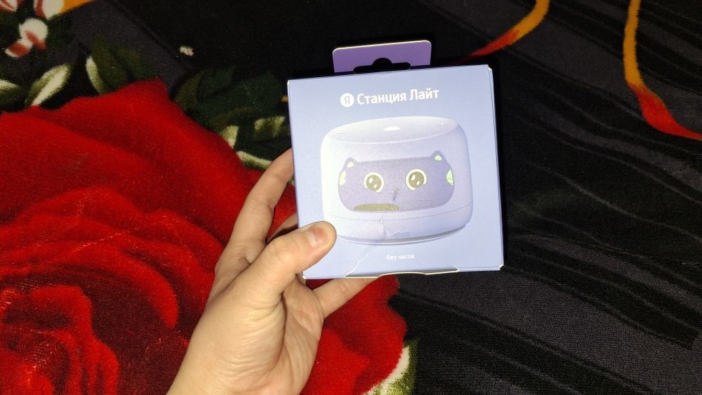 Колонка Алиса Лайт 2