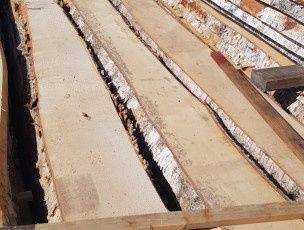 Доска сухая береза