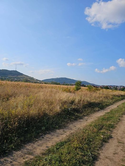 Teren intravilan 400 mp Piatra Neamț – str. Plantelor, utilități, i