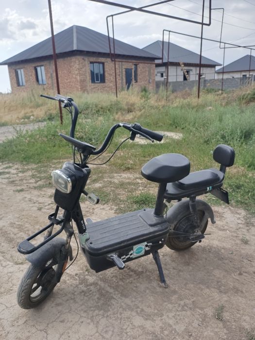 Обм на стант велик
