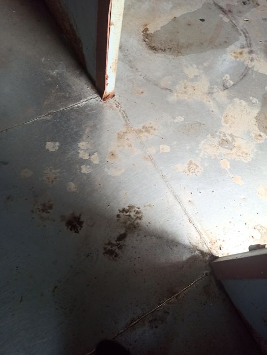 Термо бутка продам