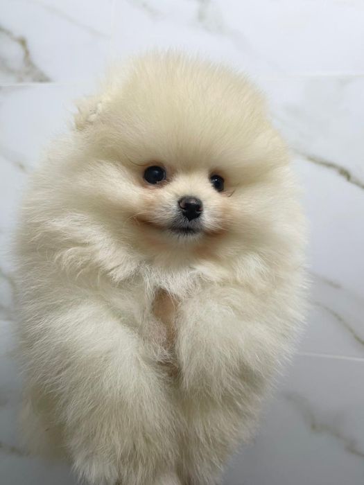 Красивые девочки и мальчики  &-