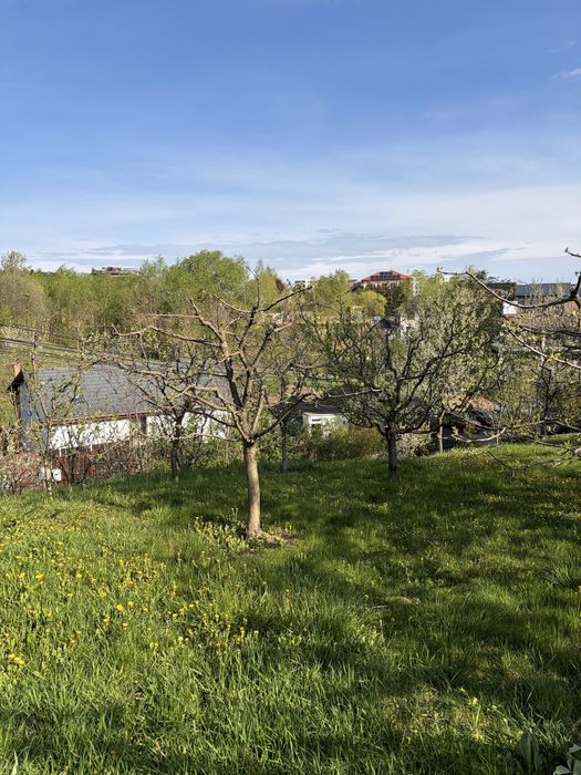 Teren de vanzare  cu, casa (printre ultimele ramase in zona)strada Macesului nr 17, cartier Buna ziua + casa