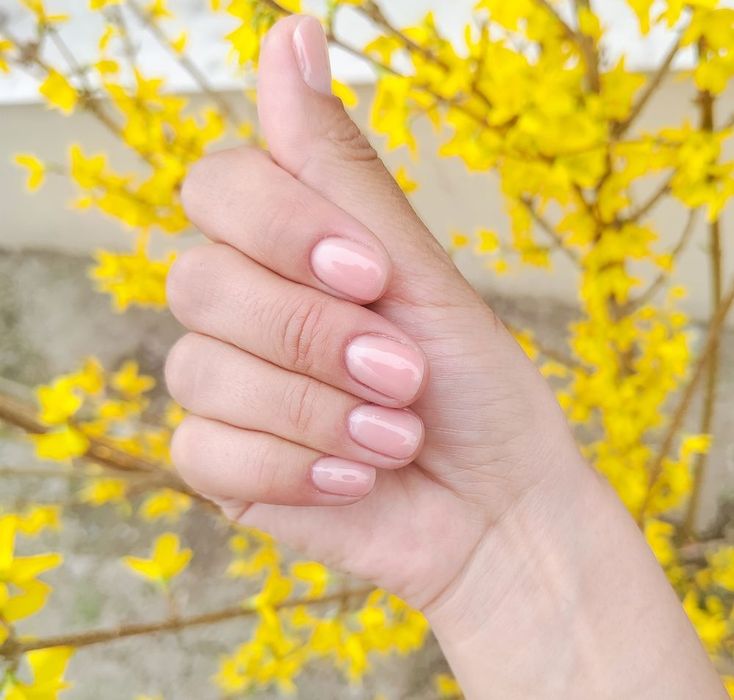 Девочки нужны модели.