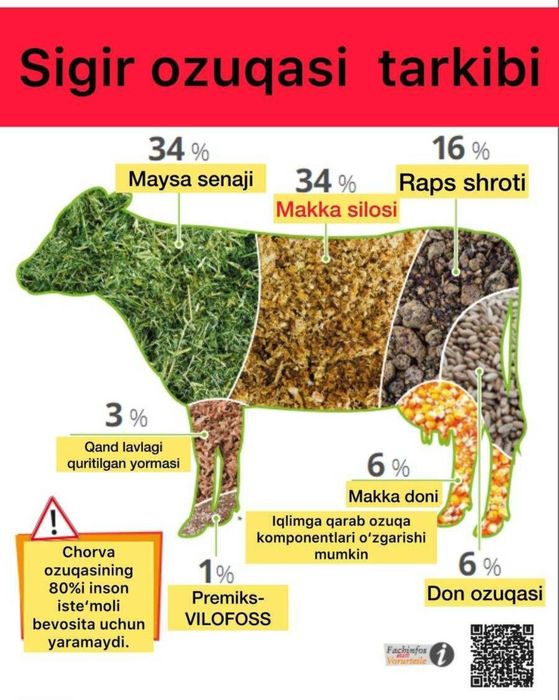 Ideal korm chorva uchun ozuqa