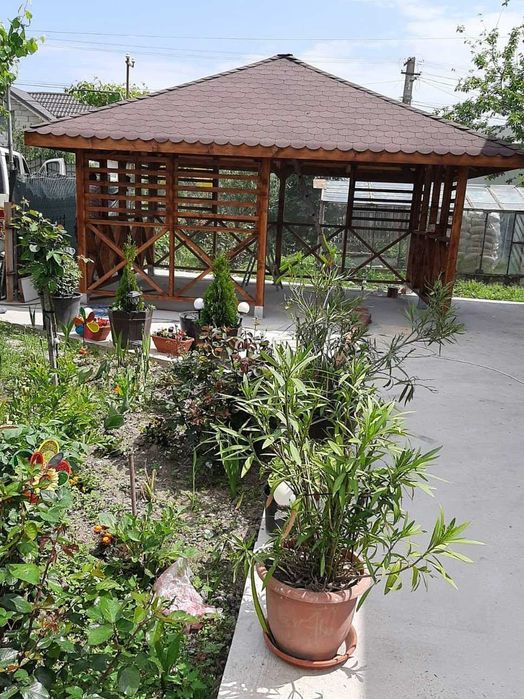 Foisoare, Terase, Cabane stil A-Frame si Case din structura de lemn