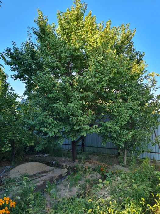 Жилой дом  продам.