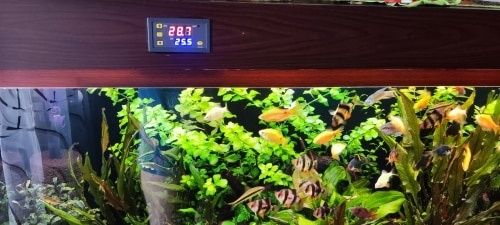 Termostat temperatura STC1000 senzor NTC waterproof 2xreleu si display