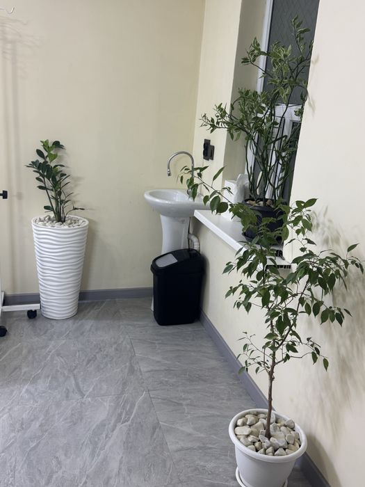 Сдается место в аренду