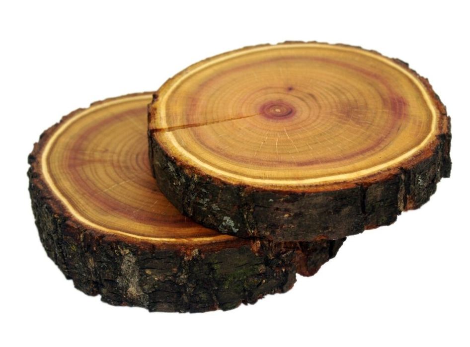 Пеньки опилки спилы продам