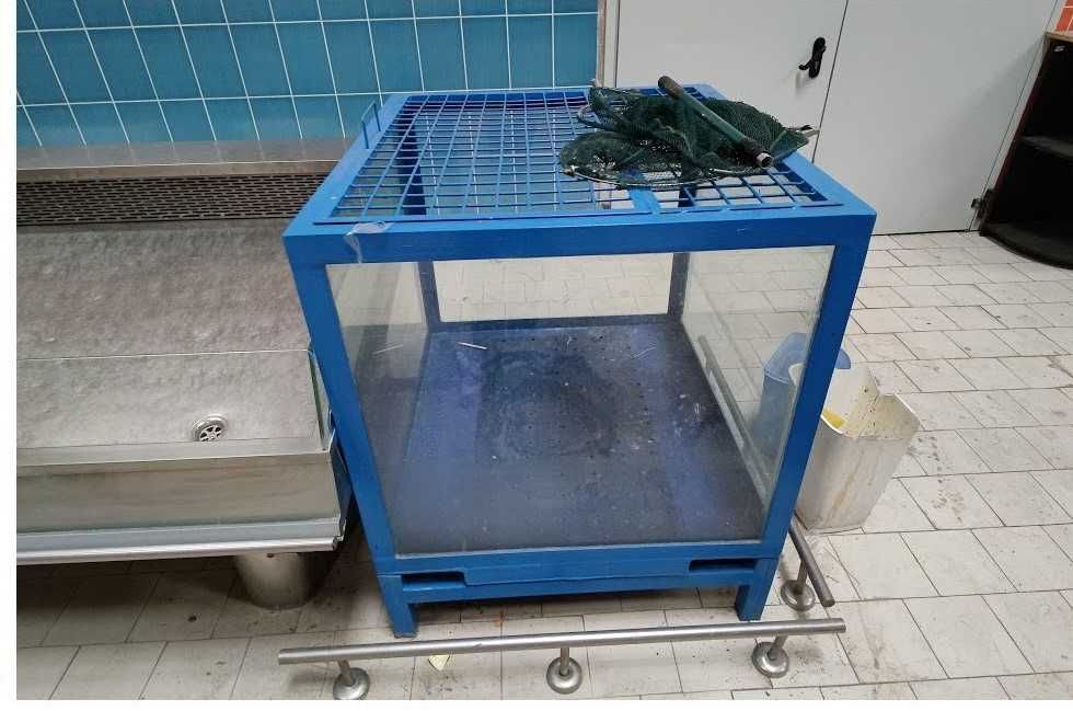 Vitrine profesionale si utilaje carmangerie