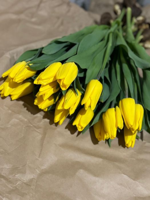 Тюльпаны оптом и в розницу