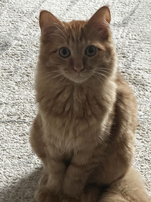 Мейн кун смешыный малчик 8 месяц.ев.