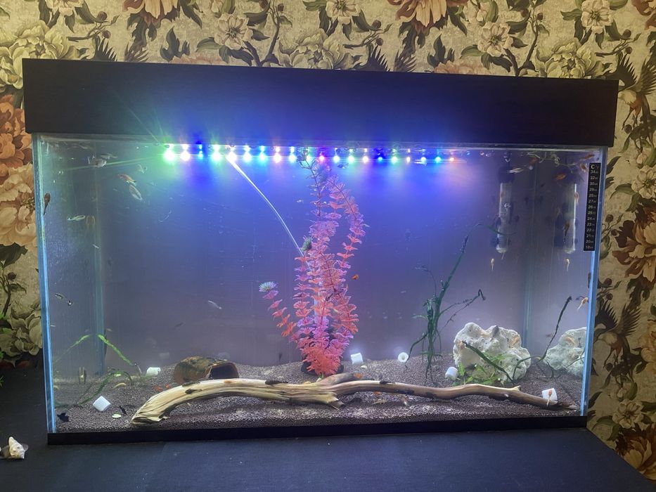 Продам аквариумы и рыбок .