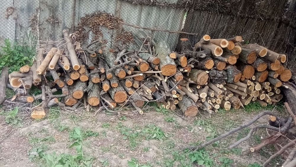 Утинлар бор. Арзон сотаман