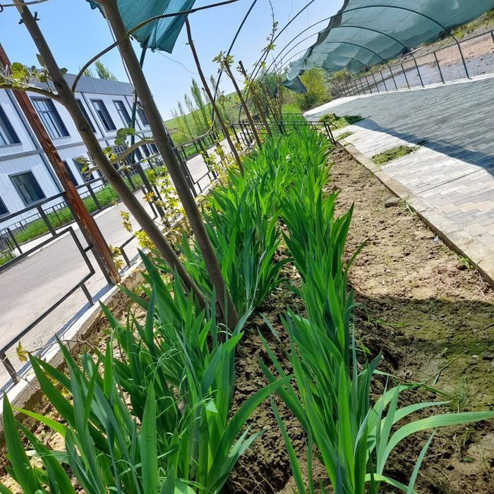 Срочно!!! Продаётся Дом у реки или Дача. Не далеко от Новый Ташкент.