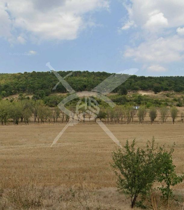 Продава се Земеделски имот в с. Преображенци, Област Бургас -  кв.м за 1000 €/дка - Снимка #1