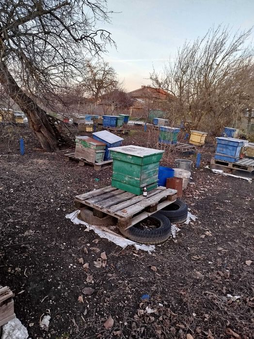 Кошери магазини тенекии