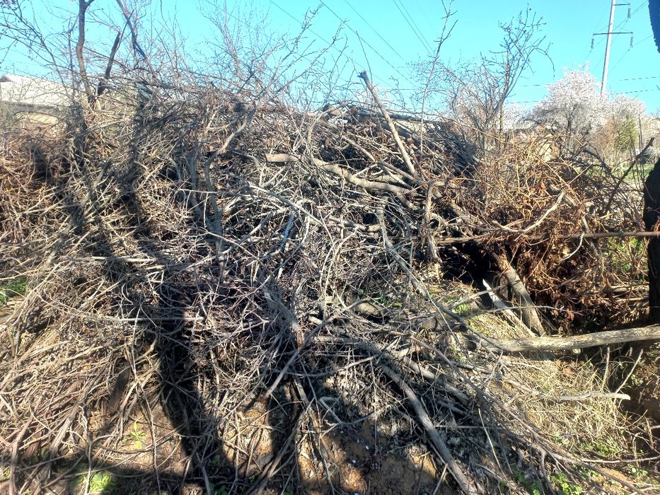 O'tin sotiladi Утин сотилади