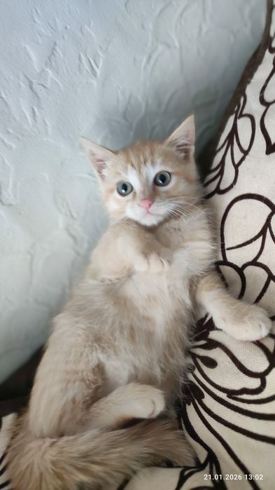 Очаровательная лапотулька-Мишель  В самые любящие ручки!