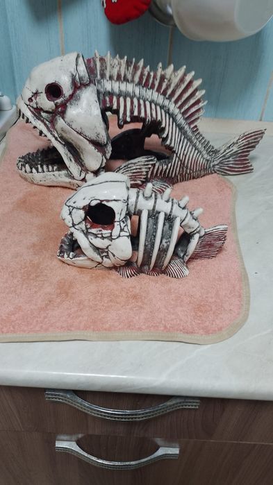 Рыбы грот недорого