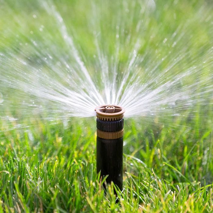 Fantan meksikanka sprinkler