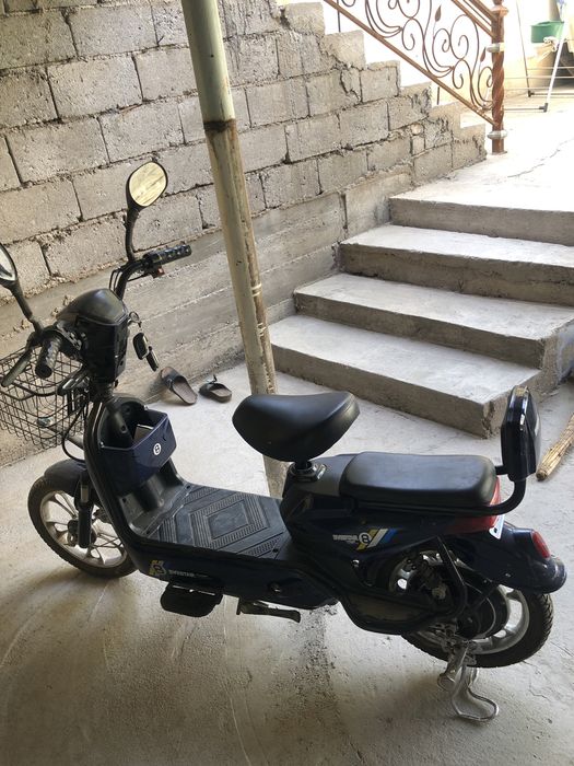 Evestar top 8 the best for