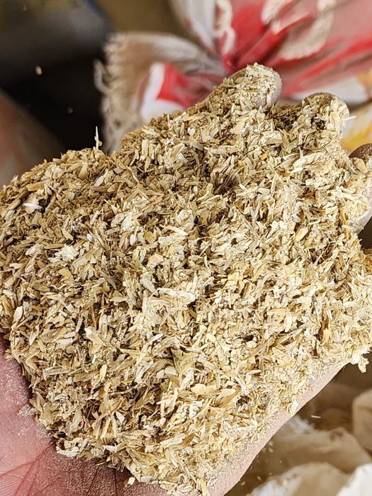 Bug'doy mikinasi, topon.