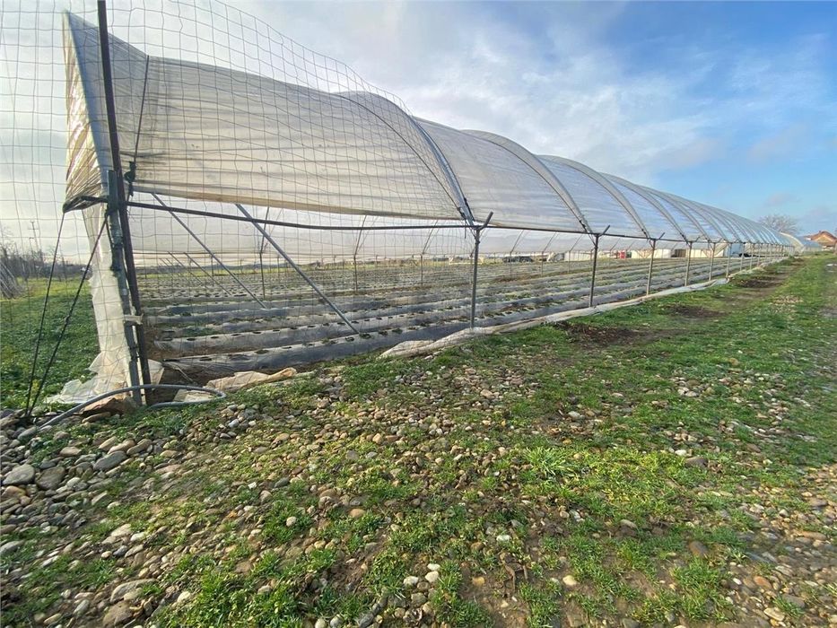 Teren cu solari si casa de constuctie usoară.