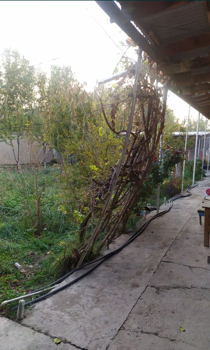 11 sotux yer va uyi bilan tosh 16 ta vuqa ketadigan zimni molhona bor