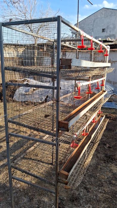 Товук катак сотилади