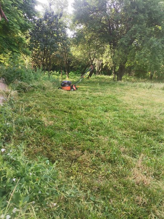 Tundem gazon iarbă buruieni ierbicidăm