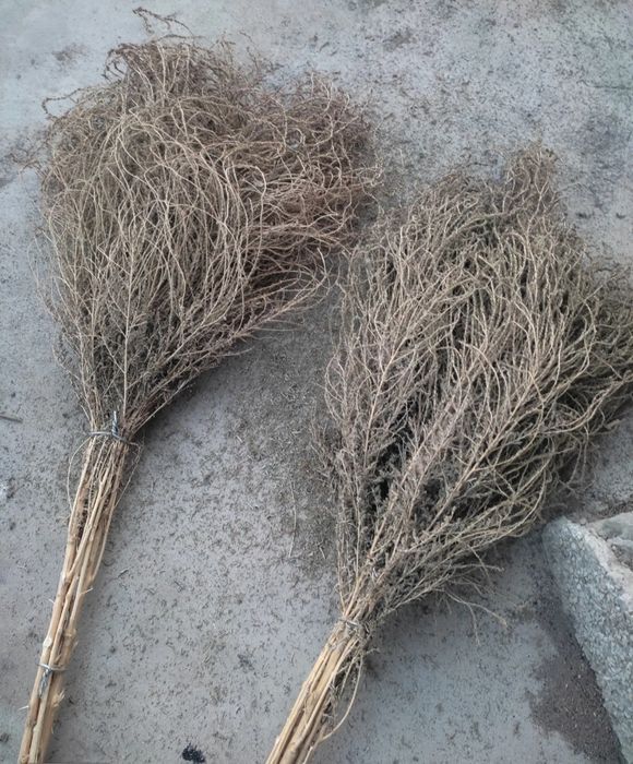 Ko‘cha supirgi sotiladi 20 mindan