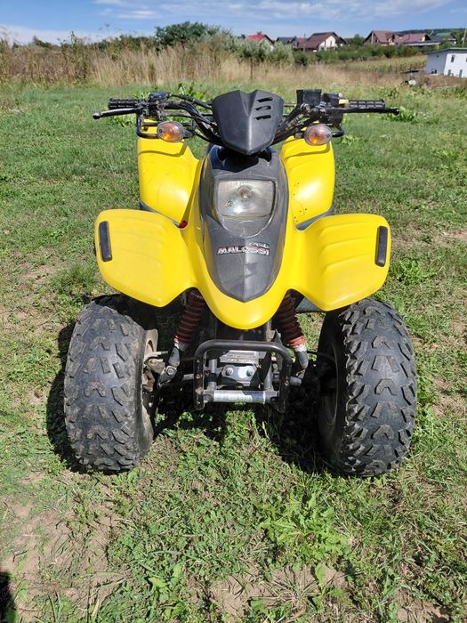 Atv Dinli 100cc 2t