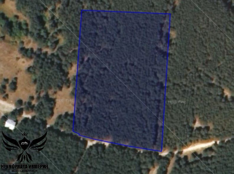 Продавам земя 11989 кв.м. в гр.Костандово,обл. Пазарджик,общ.,Ракитово