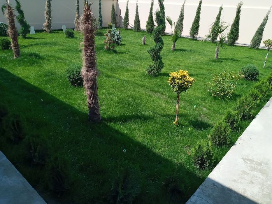 Gazon va archalar bor