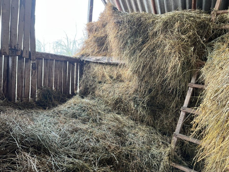 Fân amestecat cu lucernă – peste 4 tone
