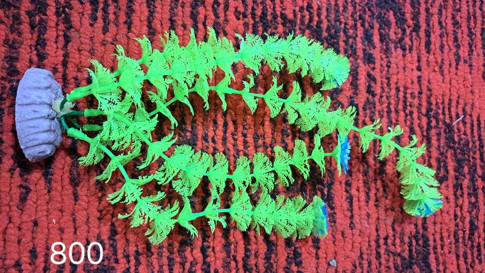 Камешки водоросли для аквариума