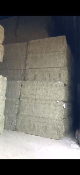 Vand Baloti de lucerna loco Braila