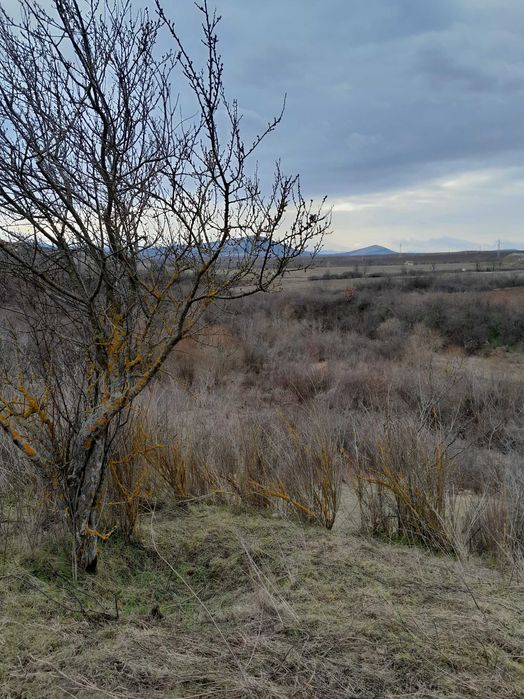 Парцел в регулация, кв.Кошарник, гр.Монтана