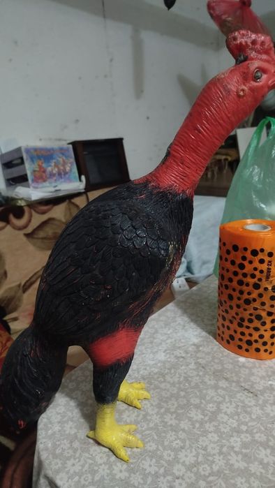 Груша для бойтсовые петухов