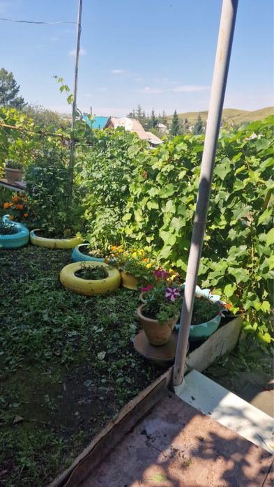 Продам Дача за Чечеком ,район Самсоновки
