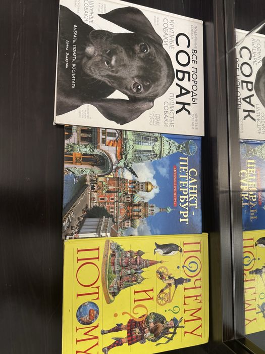 бесплатная доставка! детские книги-английский, математика