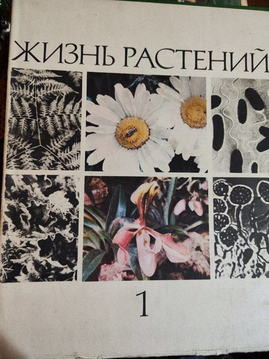 Товары для школьников