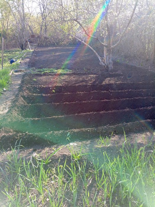 Продам дачу в кооперативе АЗФ7