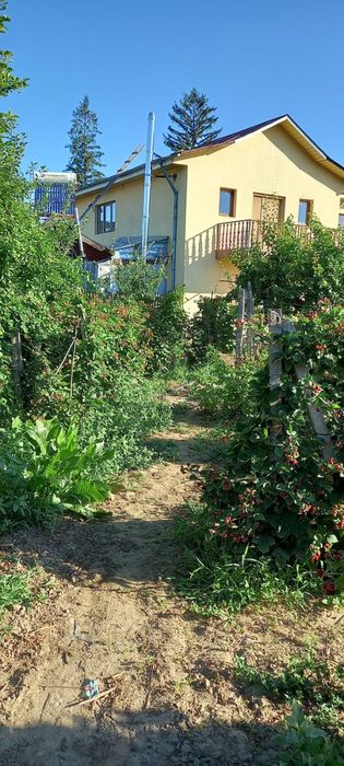 Casa de vanzare Topliceni